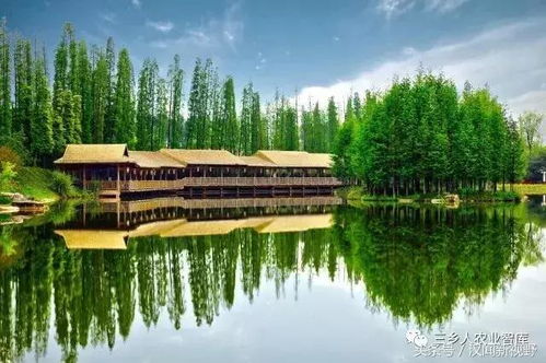 哎呀妈呀！秀丽东方门票团购优惠20元，别说我没提醒你！