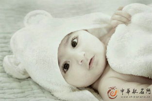 请问有没有免费改写的属猴男孩取名大全，包含属猴男孩取名大全免费改写？