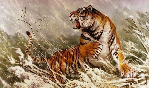 2026年属狗人将遭遇哪些灾难和劫难？2025年属狗人为何多病运势不佳？