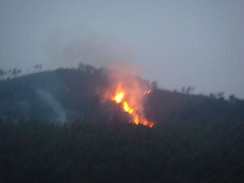 二、 命硬程度的具体表现