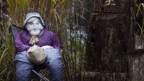 案例概述与初步留意