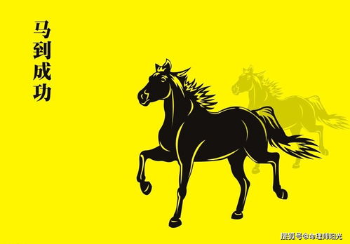 马到成功的生肖马对应的数字是什么？这背后有什么含义？