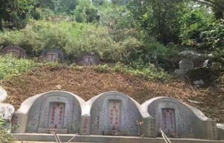 3. 噪音与工业污染