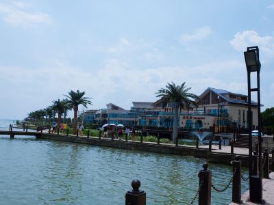 门票价格：这价格也太离谱了吧？！