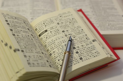理解“响亮”与“内涵”的含义