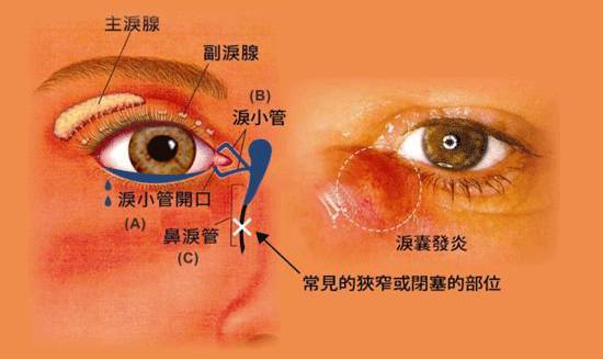 灵魂对“生”的眷恋及其象征阐释