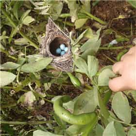 梦见给逝去的亲人挖掘墓地，把尸体从坟墓中挖出，这是怎么回事呢？