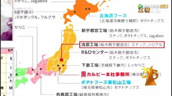 三、 时辰宜忌的细化解析