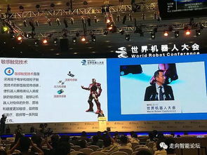 财务展望：数字背后的故事