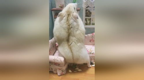案例叙述
