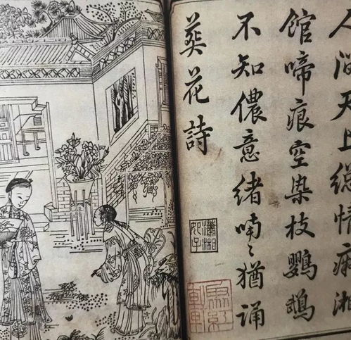 康熙字典对“婢”字的释义解读