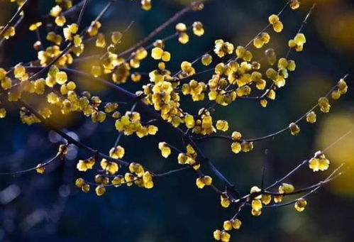 门票玄学：这样买票能召唤财神