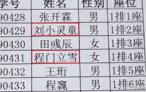 历史上的命名规则