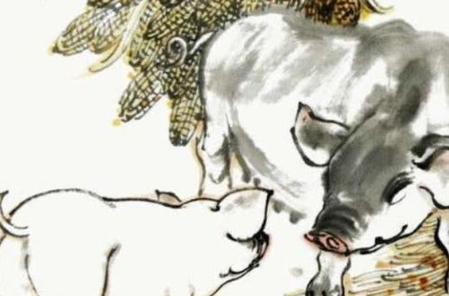 将有备无患对应的生肖动物是猪，患得患失的生肖动物是鼠，改写为长尾：哪个生肖动物既代表将有备无患，又代表患得患失？