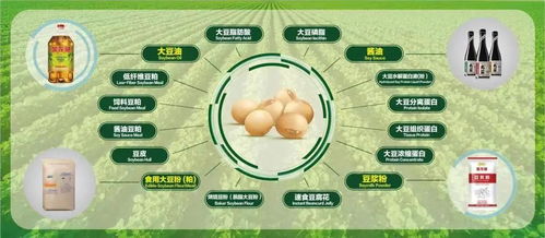 2. “金”字的加持：稳健与智慧