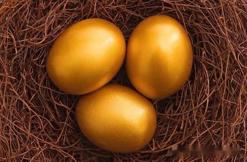 2026年9月属狗运势如何，2025年佩戴什么饰物能转运？