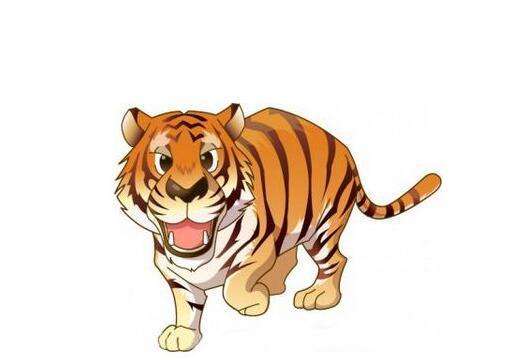 2026年属虎男孩财运如何，运势怎样？