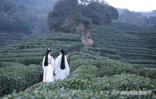 居住环境风水对个体运势与人际关系的潜在规制