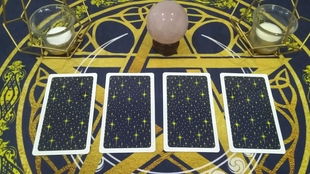 我测出的爱情星座和未来伴侣星座会是什么？