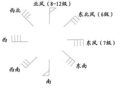 2.3 结构性解析：名词化与限定词运用示例