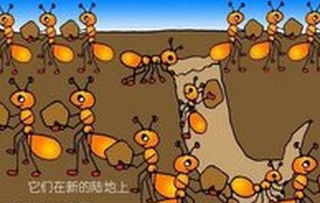 ：梦境解析的文化意蕴