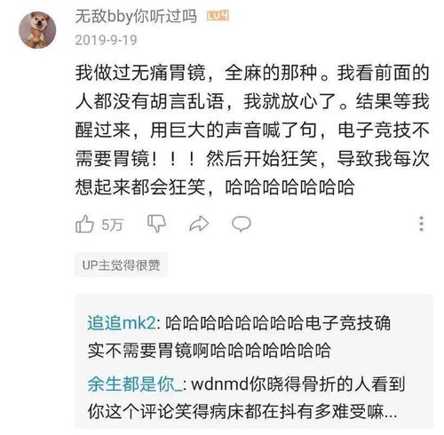 一、 生肖文化视角下的稳重特质阐释