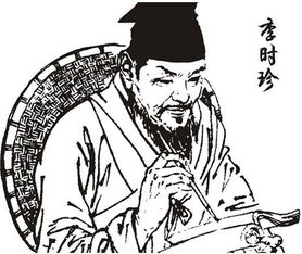 谜团与反思