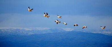 女人梦见自己飞到天上是什么预兆？有什么特殊含义？