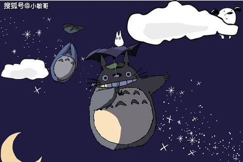 狮子座今日旺运手机号和幸运数字是多少呢？