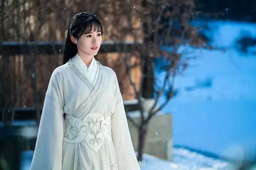 一、 袁冰妍个人命理概述及其对角色塑造的潜在作用于