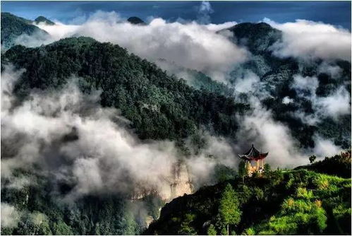 必玩项目！！！不玩等于白活！！！