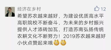 生肖性格特质对情感表达模式的深层影响
