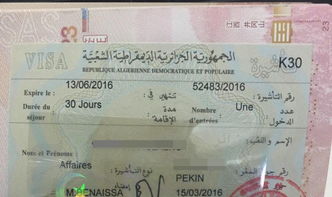 埃及旅游落地签证费用查询