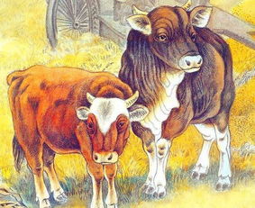 2026年属牛女性婚姻运势如何？有哪些吉日适合结婚？