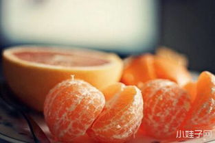 易致敏食物与免疫反应：个体化评估的重要性