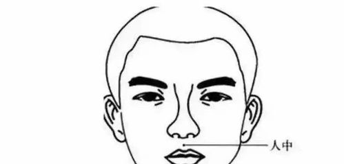 男人面部纹路图解吉凶，男人鼻子看命图解准确吗？