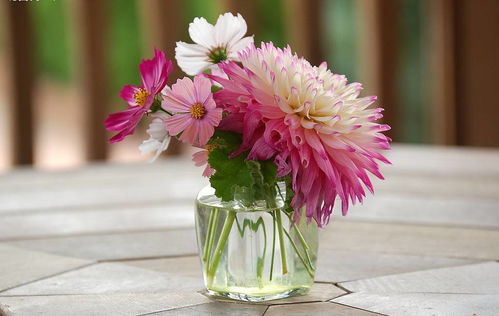 家里这些地方摆花等于找死