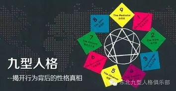 三、 行为心理学维度的深度剖析与实证观察