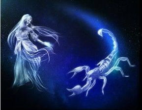 '争权夺利'组合：狮子座与天蝎座