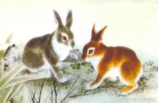 1999年属什么生肖？1999年生肖详细解析具体含义是什么？