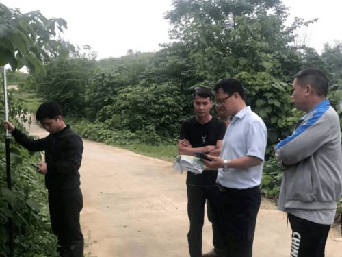 为什么选择土金组合？（一个灵魂拷问）