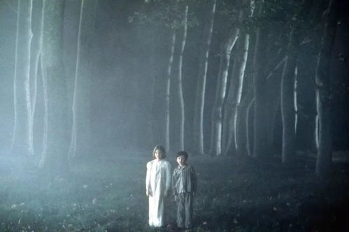 一、 鬼蜮传说：奉献者的诅咒