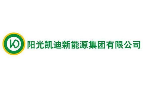 公司概况：阳光动力的创立与业务布局