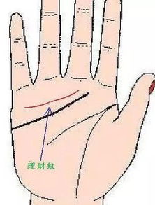 有哪些手相特征表明一个人有明确的主线人生轨迹？
