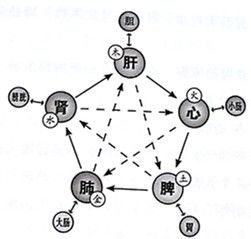 身强与外力：改善运势的关键策略