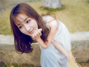 生肖兔：温和与优雅的体现