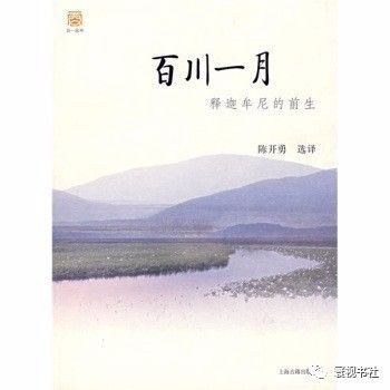 对微观细节的敏锐捕捉