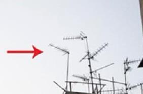 家里出现风水蜈蚣煞怎么办？如何化解？