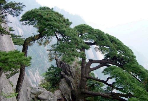 实证性考量：环境与健康因素