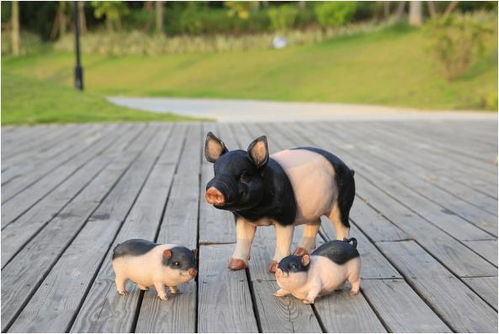 83年属猪的人蕞佳配偶是谁呢？